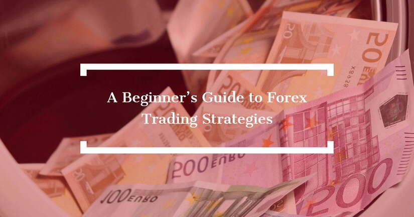 forex trading guide for beginners